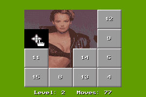15 Move Hole Puzzle