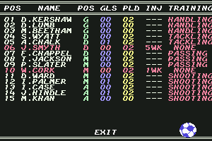 1st Division Manager