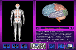 3-D Body Adventure