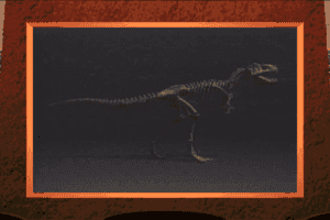 3-D Dinosaur Adventure