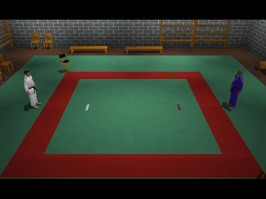 3D Judo Fighting
