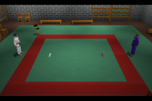 3D Judo Fighting