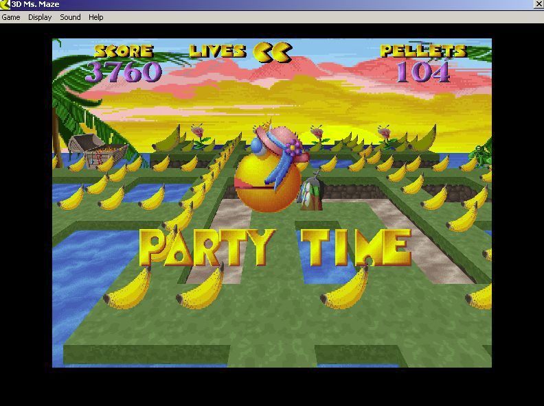 3D Ms. Maze: Tropical Adventures