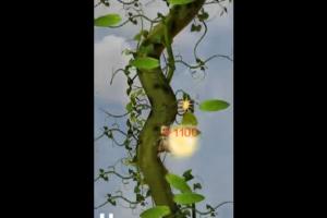 A Beanstalk Tale