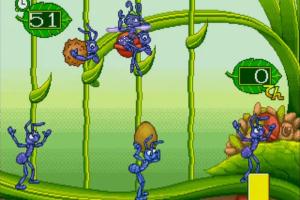 A Bug’s Life