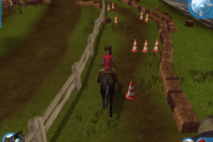 Horse Camp