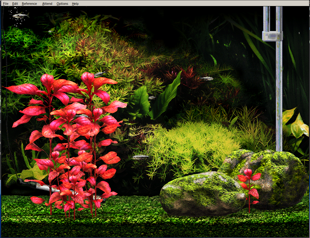 Aquazone Deluxe II with Guppies: Your Virtual Aquarium