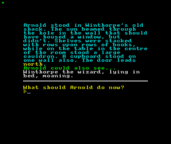 Arnold the Adventurer III