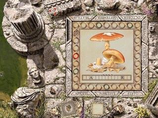 Aureum