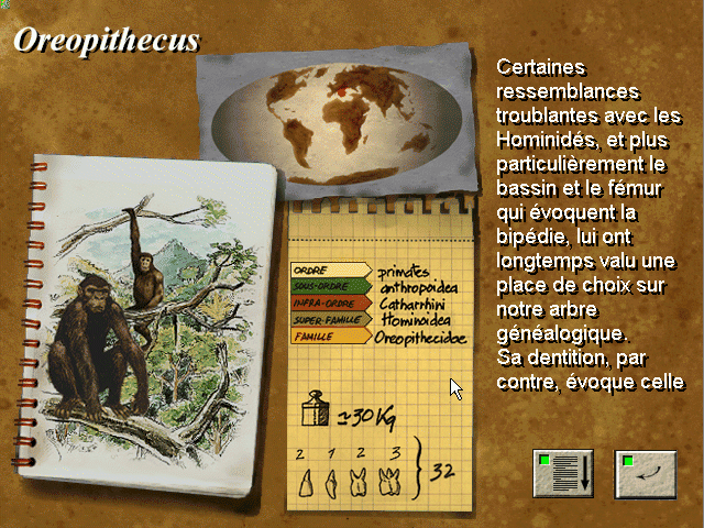Aux Origines de l'Homme