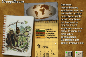 Aux Origines de l'Homme