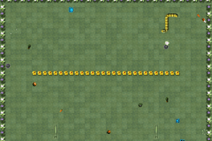 Battle Snake