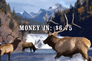 Big Buck Hunter 2006: Call of the Wild