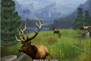 Big Buck Hunter Pro