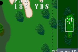 Birdie Try