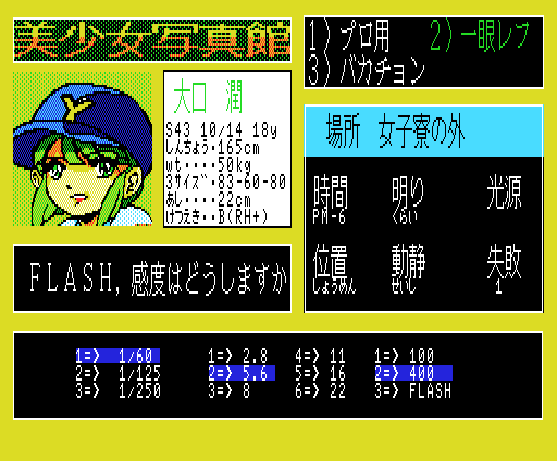 Bishōjo Shashinkan Special: The Double Vision