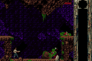 Blackthorne