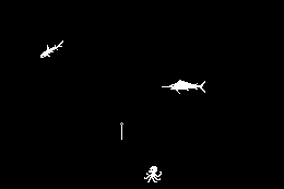 Blue Shark