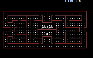 Boogie-Woogie Spiders