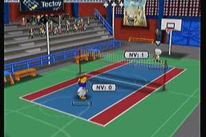 Boomerang Sports Peteca