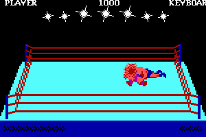 Bop'N Wrestle