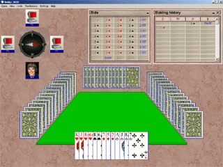 Bridge 3000