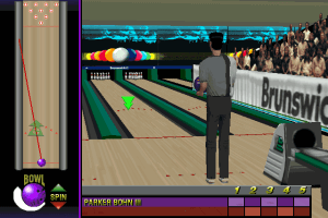 Brunswick Circuit Pro Bowling