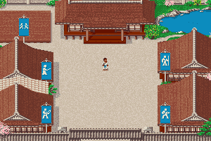Budokan: The Martial Spirit