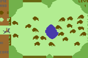 Buffalo Round Up