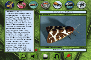 Bug Adventure