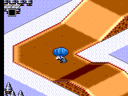 Buggy Run