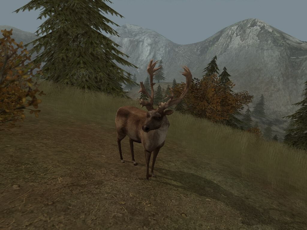 Cabela's Big Game Hunter 2004