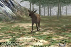 Canada Hunt