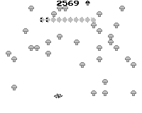 Centipede