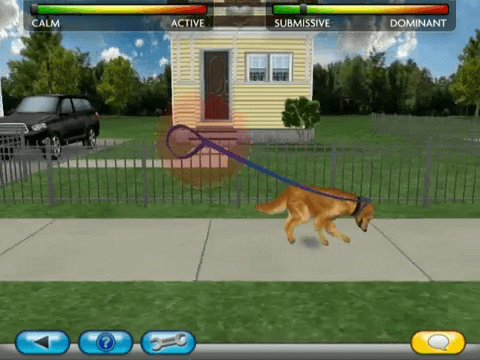 Cesar Millan's Dog Whisperer