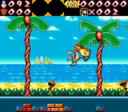 Chester Cheetah: Wild Wild Quest