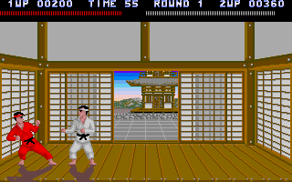Chinese Karate