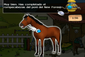 Clever Kids: Pony World