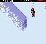 Cool Boarders Pocket