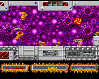Cortex