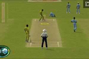 Cricket 2000