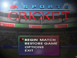 Cricket 96