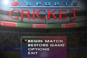 Cricket 96