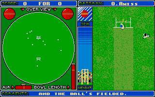 Cricket Captain