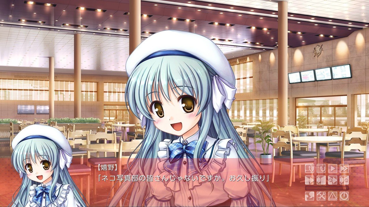 Daitoshokan no Hitsujikai ~Houkago Shippo Days~