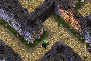 Das verrückte Labyrinth