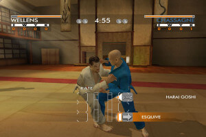 David Douillet Judo