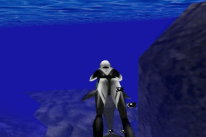 Deep Raider