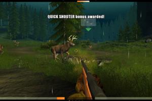 Deer Drive
