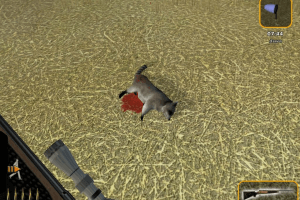 Deer Hunter 2004